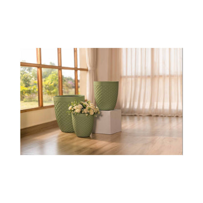 Akaar Planters - Neo Pine Collections