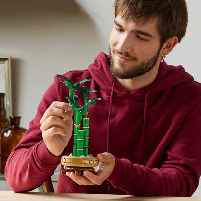 LEGO 10344 Lucky Bamboo