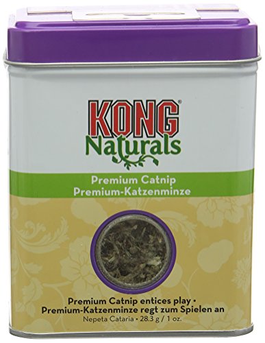 Kong Cat Premium Catnip 1oz