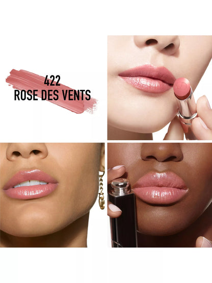 DIOR ADDICT - 422 Rose des vents