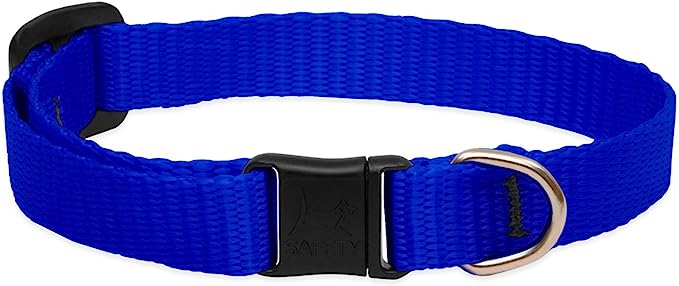 LupinePet Cat Collar Basics Blue 1/2"