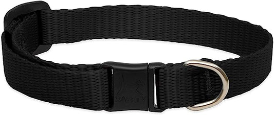 LupinePet Cat Collar Black 1/2"