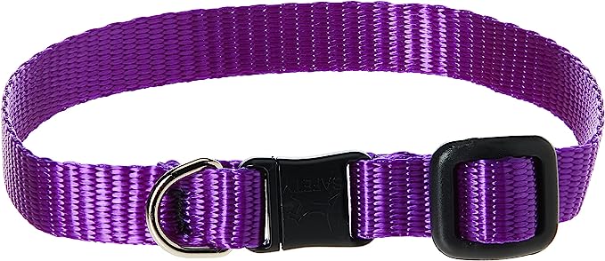 LupinePet Cat Collar Basics Purple 1/2"