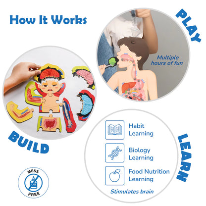 Smartivity Food Body & Nutrition Kit