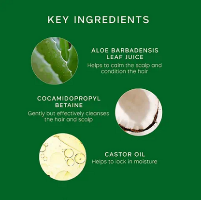 Philip Kingsley Flaky/Itchy Scalp Anti-Dandruff Shampoo 1000ml