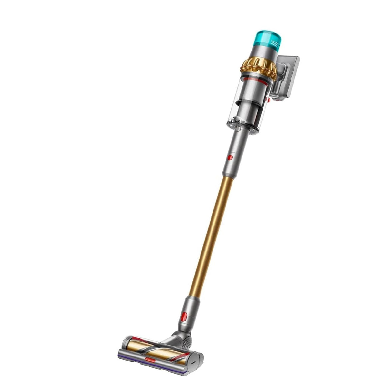 Dyson V15 Detect Animal Cordless Vacuum Cleaner - Gold and Iron