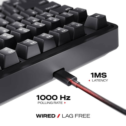 Cybeart Nighthawk 75 Lite - TKL Wired RGB Gaming Keyboard - Black