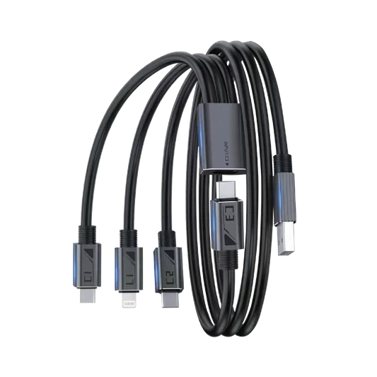 Merlin 4-in-1 100W Fast Charging & Sync Cable