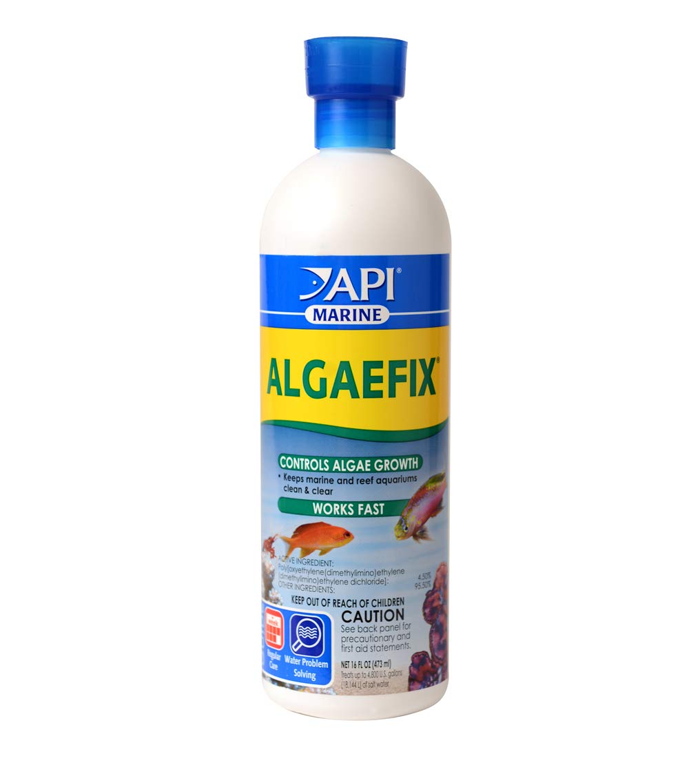 زجاجة APIMARINE ALGAEFIX للتحكم في الطحالب سعة 16 أونصة (387D)