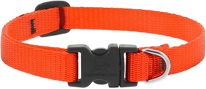 LupinePet Pet Basic Adjustable Collar 8-12" Orange 1/2"