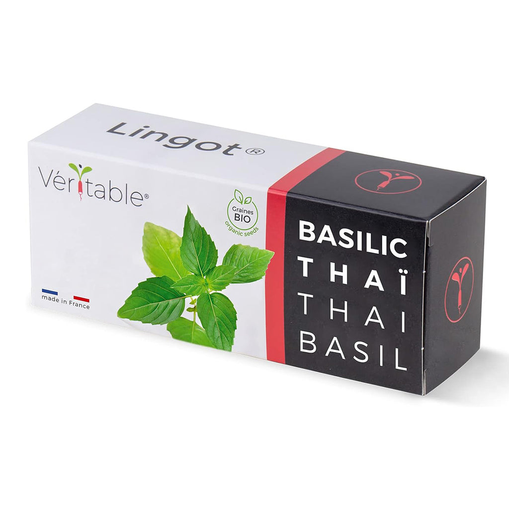 Veritable Lingot Thai Basil - Organic