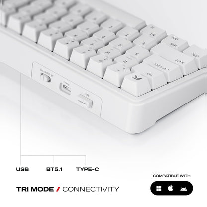 Cybeart Akula 65 - Compact 65% Tri-Mode Wireless RGB Gaming Keyboard - White