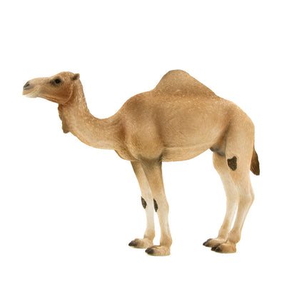 Animal Planet Mojo Arabian Camel XL (387113)
