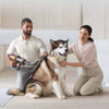 Dyson - Vacuum Cleaner Pet Grooming Kit