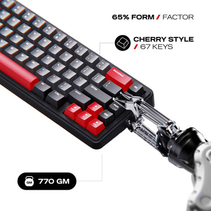 Cybeart Akula 65 - Compact 65% Tri-Mode Wireless RGB Gaming Keyboard - Signature Edition