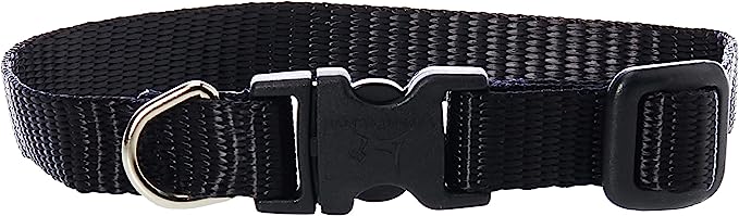 LupinePet Dog Collar 8-12" Black 12inch