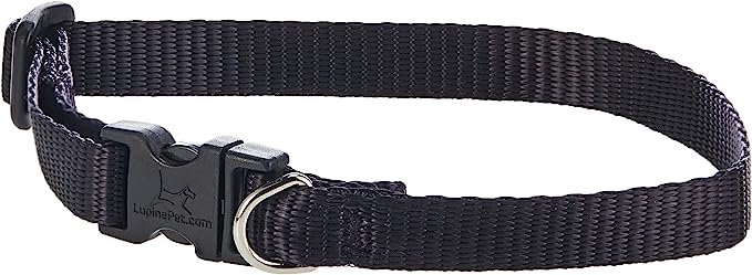 LupinePet Dog Collar 10-16" Black 1/2"