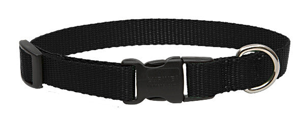 LupinePet Dog Collar 9-14" Black 3/4"