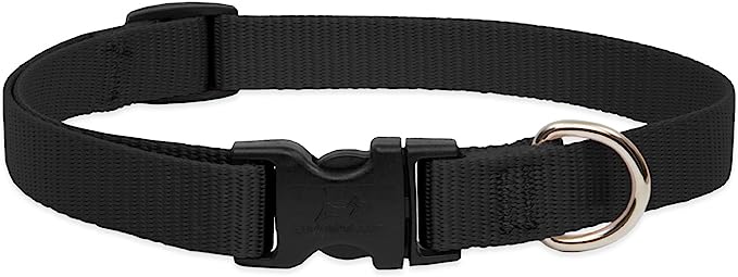 LupinePet Dog Collar 15-25" Black 3/4"