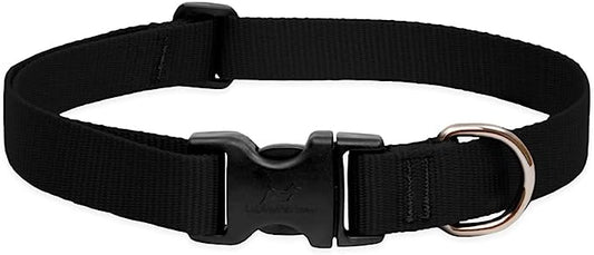 LupinePet Dog Collar 12-20" Black 1inch