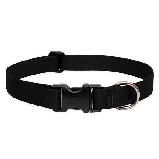 LupinePet Basics Adjustable Collars for Medium & Large Dogs Black 1inch