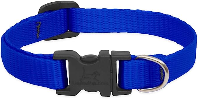 LupinePet Dog Collar 6-9" Blue 1/2"