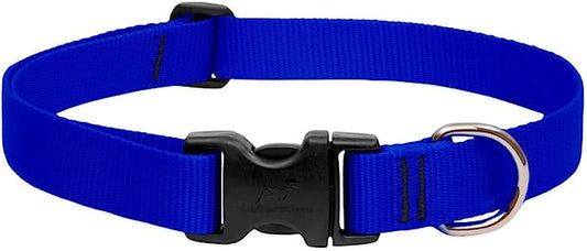 LupinePet Dog Collar 12-20" Blue 1inch