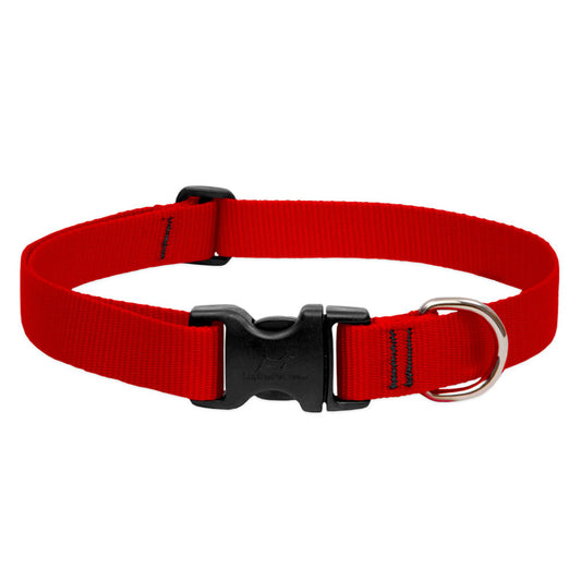 LupinePet Dog Collar 6-9" Red, 1/2"