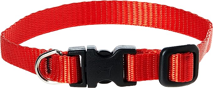 LupinePet Dog Collar 8-12" Red 1/2"