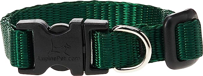 LupinePet Dog Collar 8-12" Green 12inch