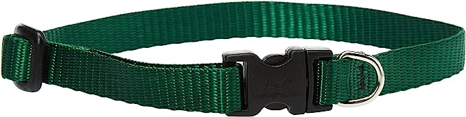 LupinePet Dog Collar 10-16" Green 1/2"