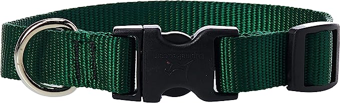 LupinePet Dog Collar 9-14" Green 34inch