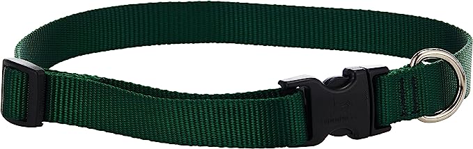 LupinePet Dog Collar 15-25" Green 34"