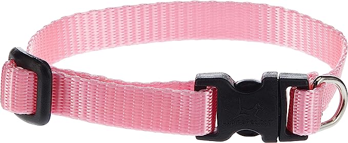 LupinePet Dog Collar 8-12" Pink 1/2"