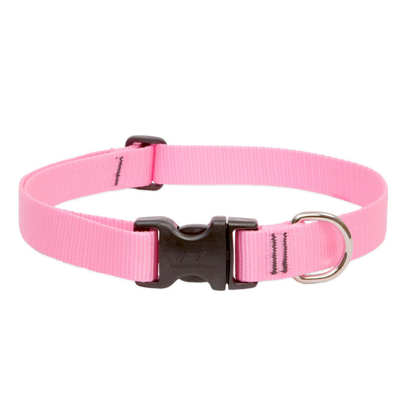 LupinePet BASICS Adjustable Collar for Small Dogs 10-16inch Pink 1/2inch