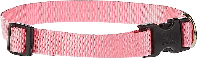 LupLupinePetine Dog Collar 13-22" Pink 3/4"