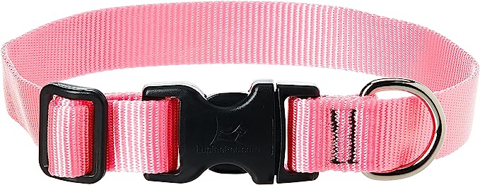 LupinePet Dog Collar 12-20" Pink 1inch