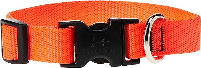 LupinePet Dog Collar 9-14" Orange 34inch