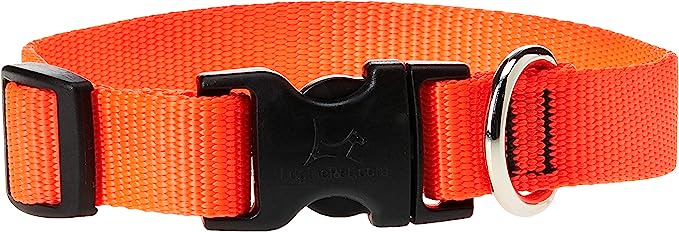 LupinePet Dog Collar 13-22" Orange, 3/4"