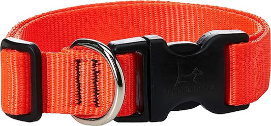 LupinePet Collar 12-20" Orange 1inch