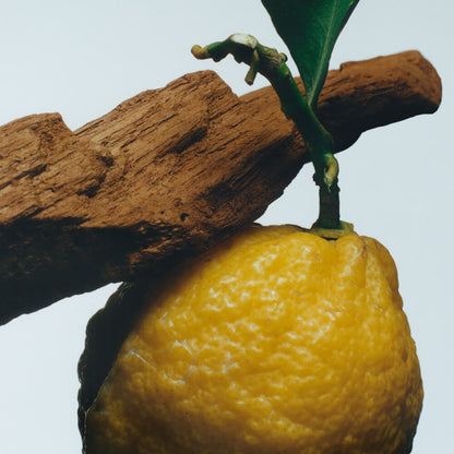 Jo Malone London Oud & Bergamot Cologne Intense 50ml