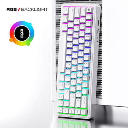 Cybeart Akula 65 - Compact 65% Tri-Mode Wireless RGB Gaming Keyboard - White