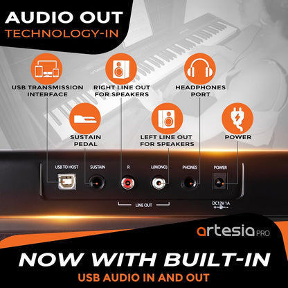 Artesia Pro Performer Series 88 Velocity Sensitive Weighted Keys Portable Digital Piano, Black