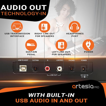 Artesia Pro A-61 Semi-Weighted Velocity Sensitive Keyboard