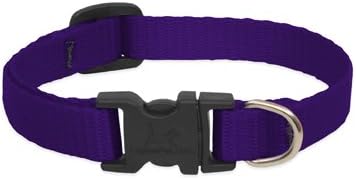 LupinePet Dog Collar 6-9" Purple, 1/2"