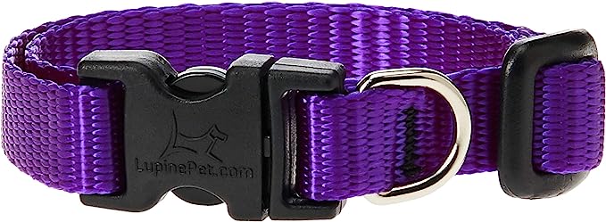 LupinePet Dog Collar 8-12" Purple 12inch