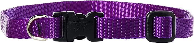 LupinePet Dog Collar 10-16" Purple 1/2"