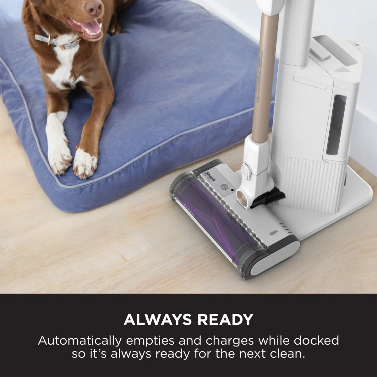 Shark Detect Clean & Empty Cordless Pet Vacuum Cleaner IW4611MET - White/Blue