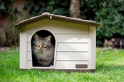 النائب بيرغامو كوتشيا برينسيس دوج هاوس براون / موكاتشينو