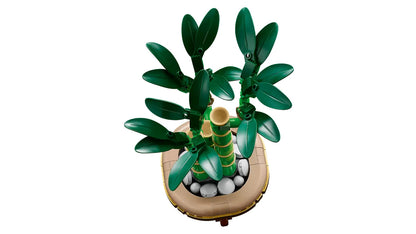 LEGO 10344 Lucky Bamboo